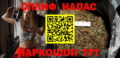 прущие грибы Можайск