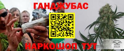 прущие грибы Можайск
