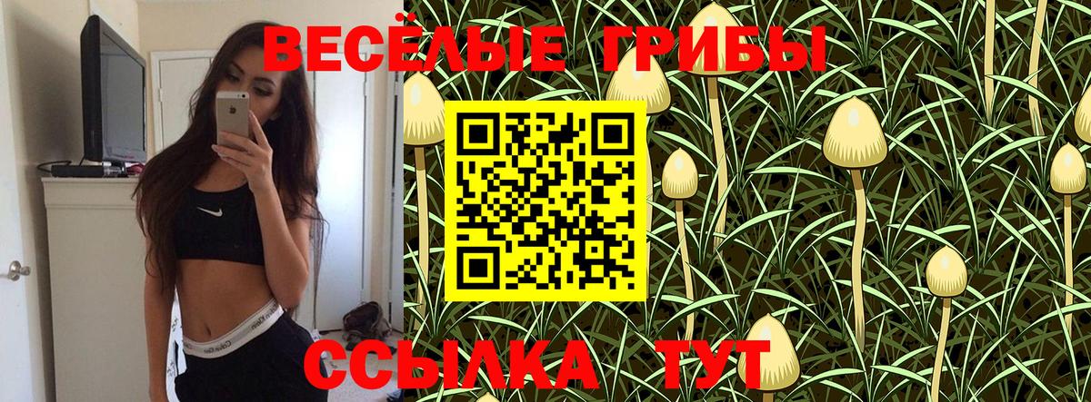 Галлюциногенные грибы GOLDEN TEACHER Черногорск