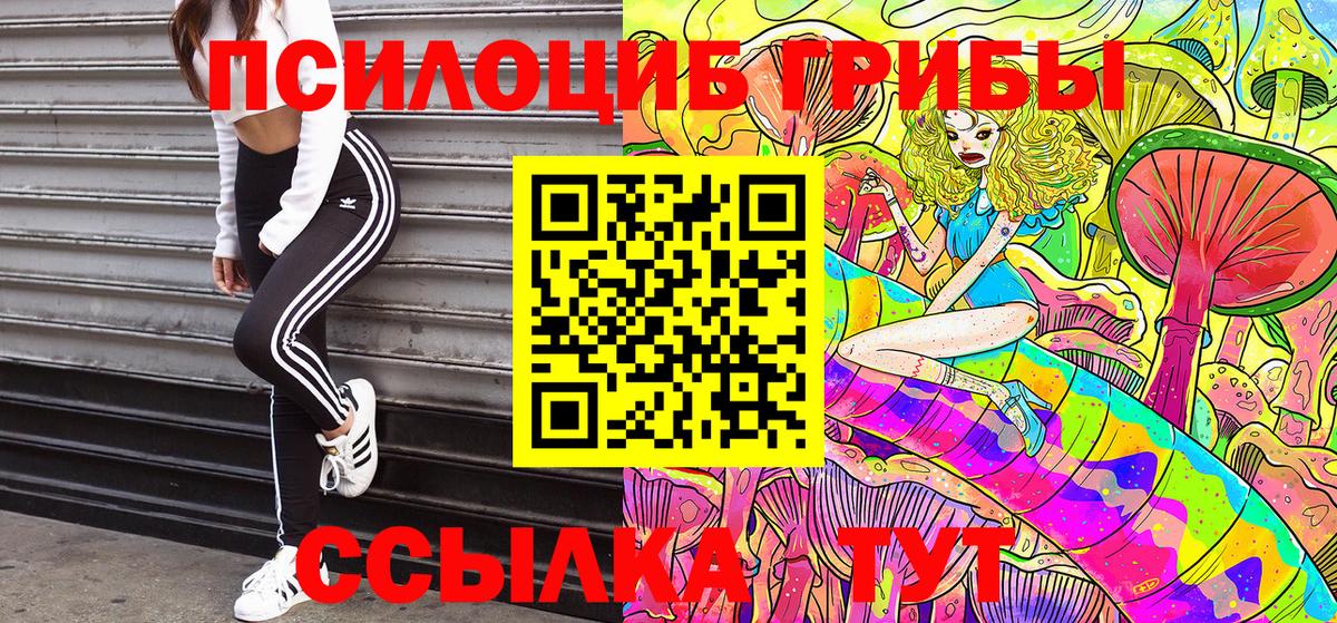 Псилоцибиновые грибы MAGIC MUSHROOMS  Вход с VPN  Черногорск  Псилоцибиновые грибы прущие грибы 